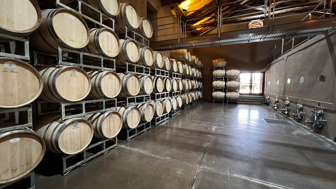 À la découverte de Mendoza, l’âme du vin argentin et de la convivialité