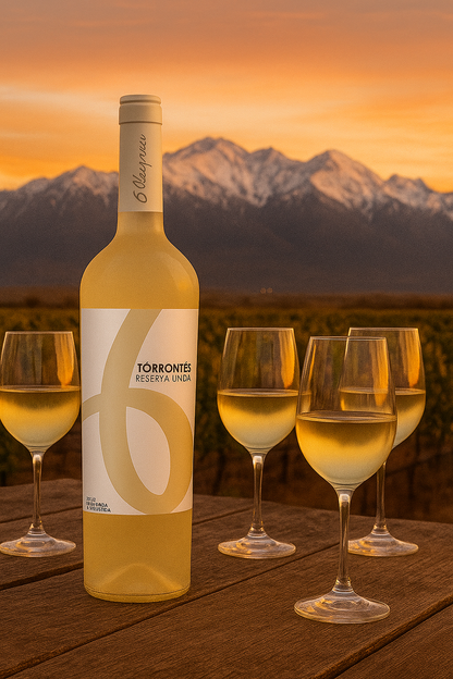Carton 6 btles : Reserva Unica Blanc